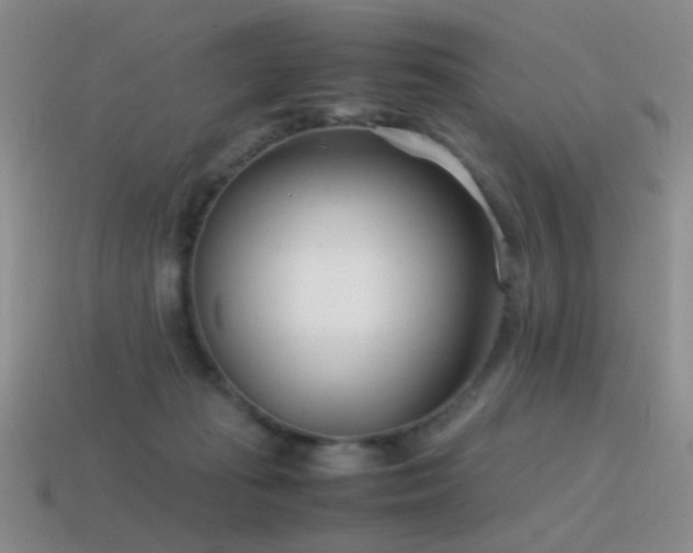 X0000115500269200911061333