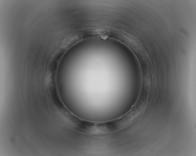 X0000115500270200911061333