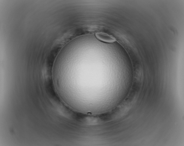 X0000115500272200911061333