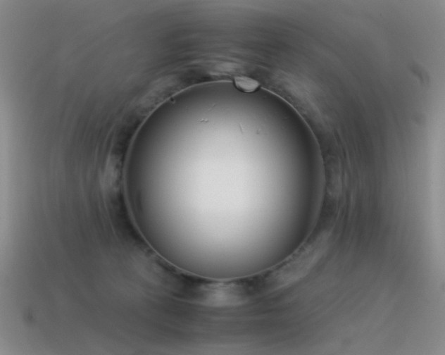 X0000115500273200911061333