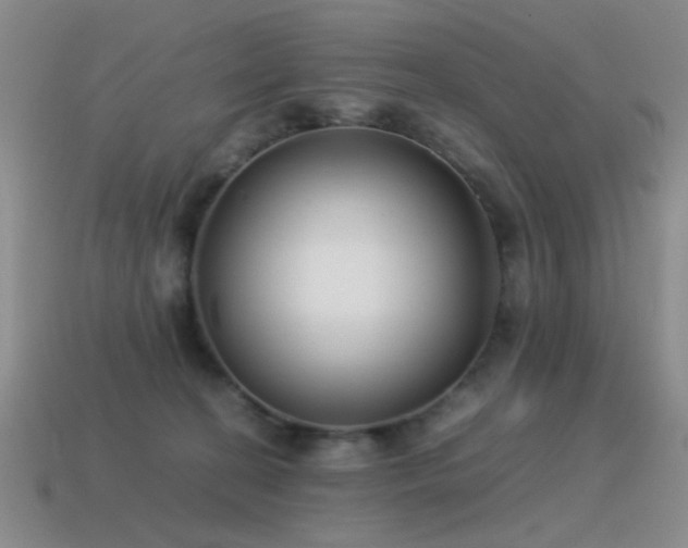 X0000115500274200911061333