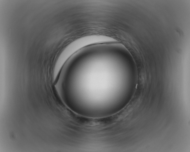 X0000115500276200911061333