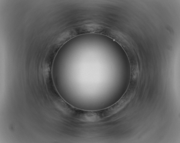 X0000115500279200911061333