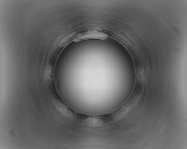 X0000115500280200911061333