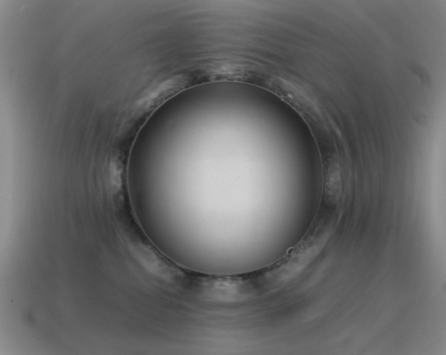 X0000115500282200911061333