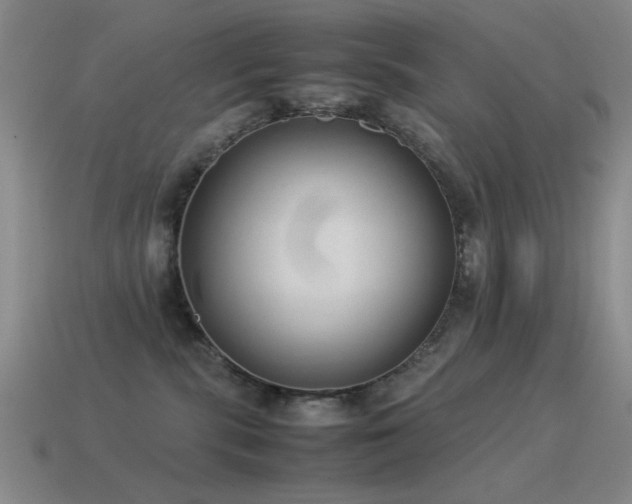 X0000115500283200911061333
