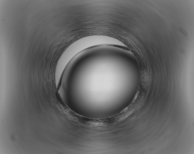 X0000115500284200911061333