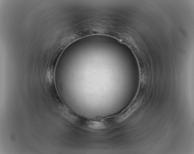 X0000115500285200911061333