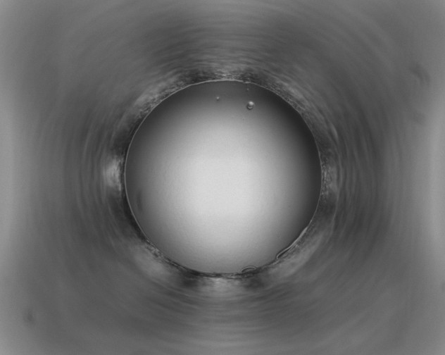 X0000115500286200911061333