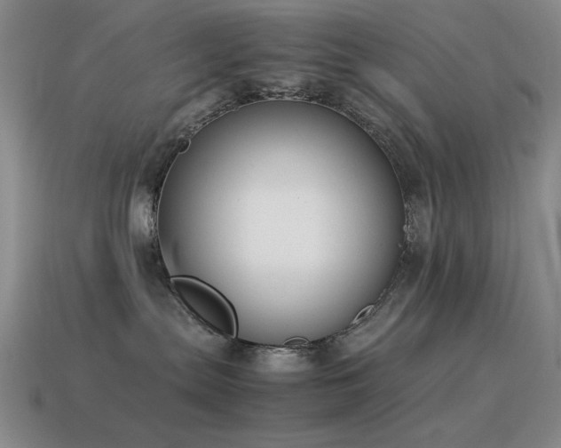 X0000115500287200911061333
