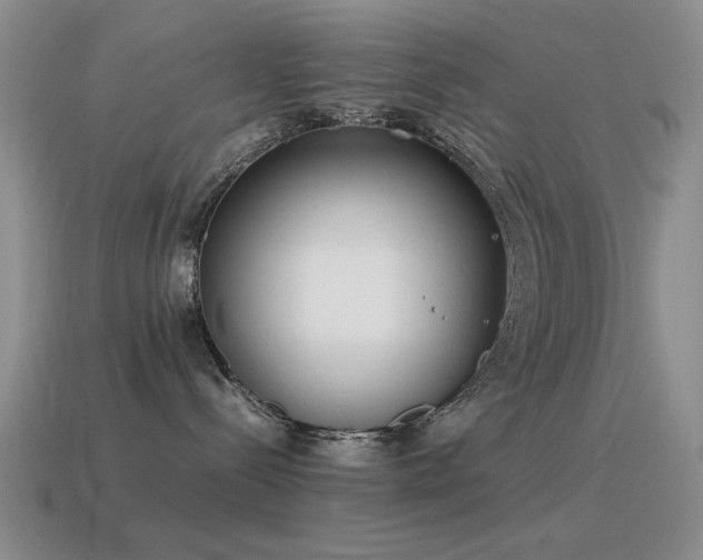 X0000115500288200911061333