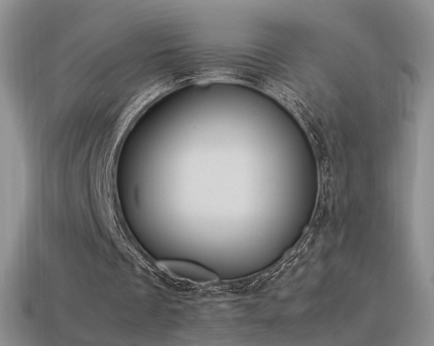 X0000115500289200911061333