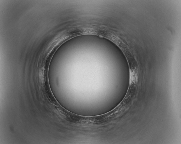 X0000115500291200911061333