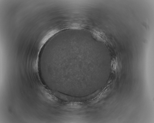 X0000115500292200911061333