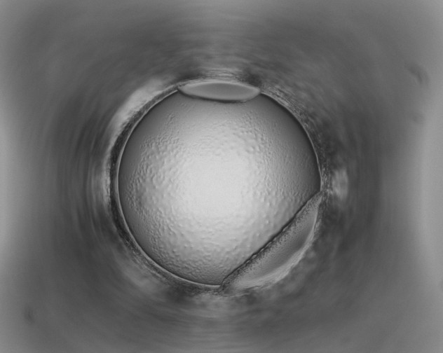 X0000115500294200911061333