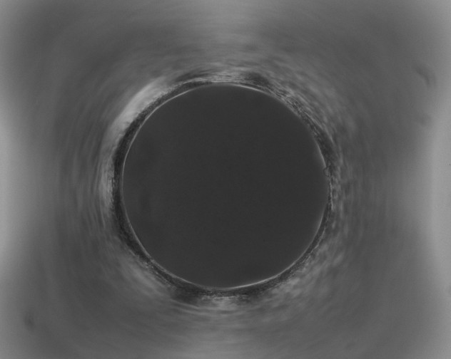 X0000115500295200911061333