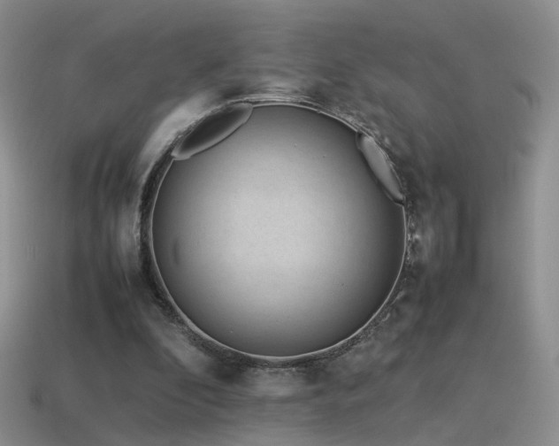 X0000115500296200911061333