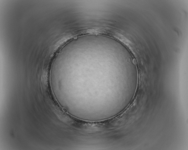 X0000115500297200911061333