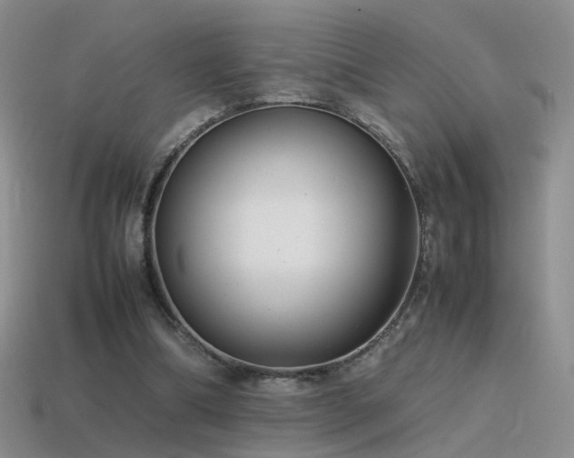 X0000115500298200911061333