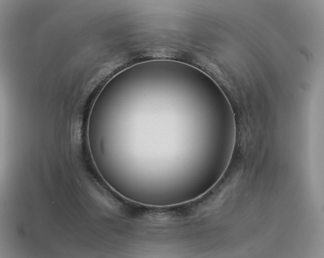 X0000115500299200911061333