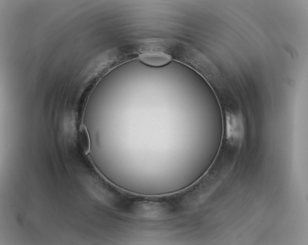X0000115500300200911061333