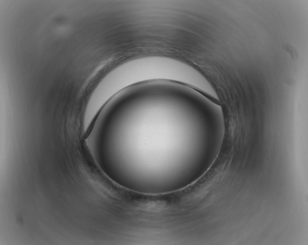 X0000115500304200911061333