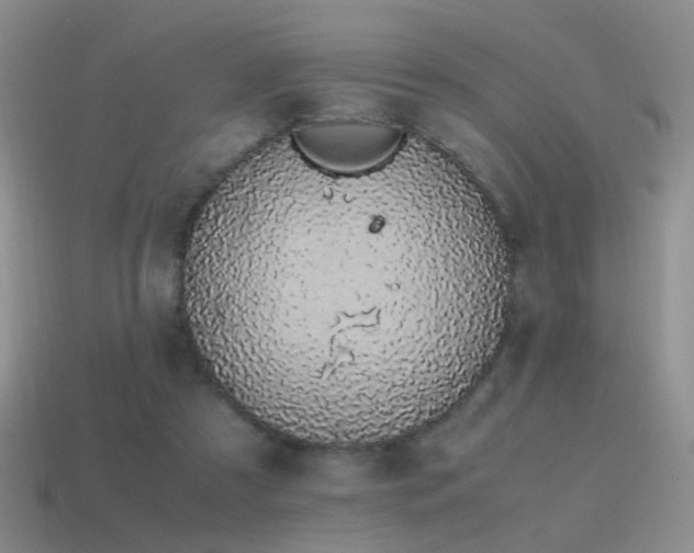 X0000115500305200911061333