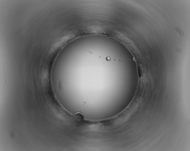 X0000115500306200911061333