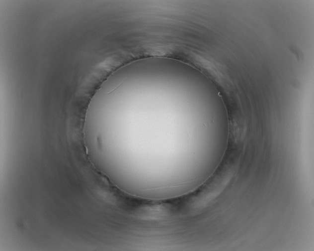 X0000115500307200911061333