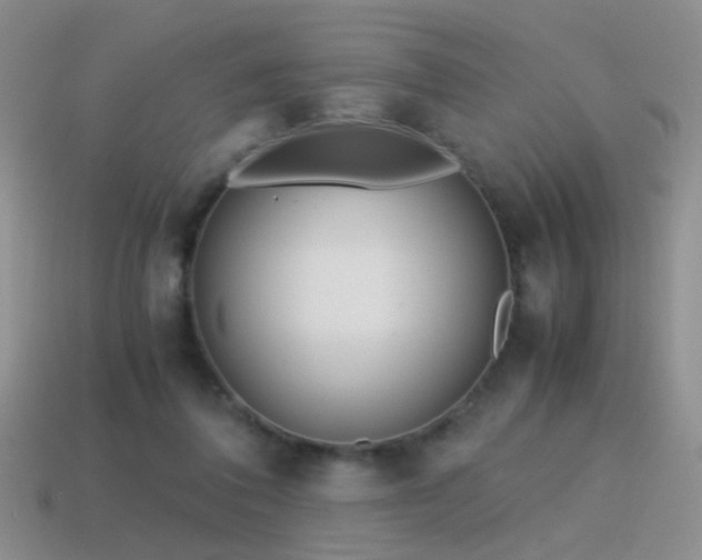X0000115500308200911061333