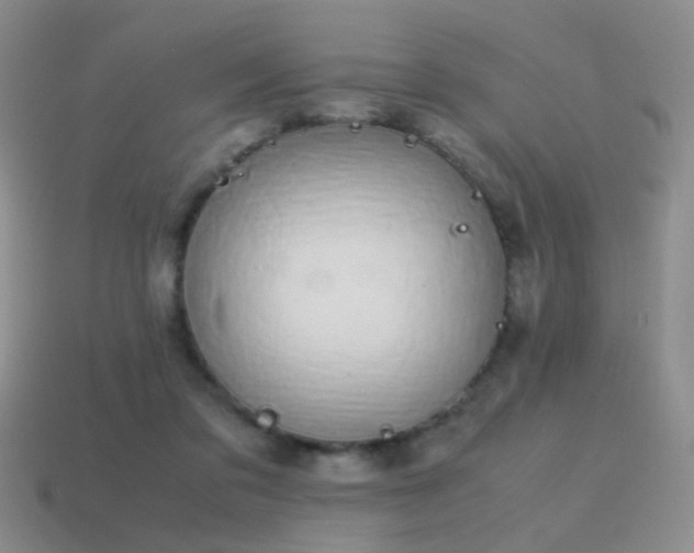 X0000115500309200911061333