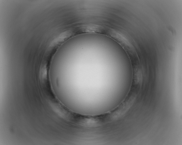 X0000115500310200911061333