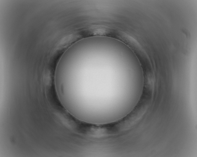 X0000115500311200911061333
