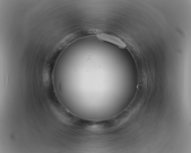X0000115500312200911061333