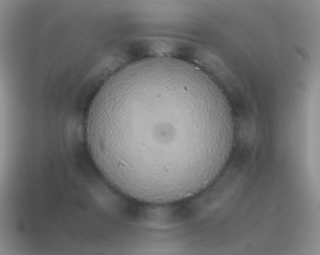 X0000115500313200911061333