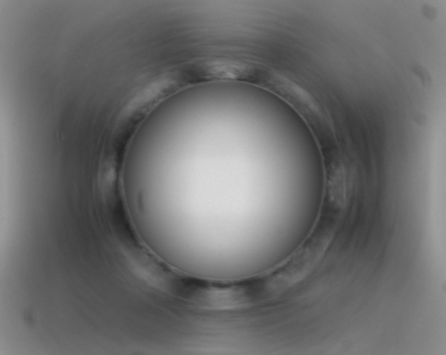 X0000115500314200911061333