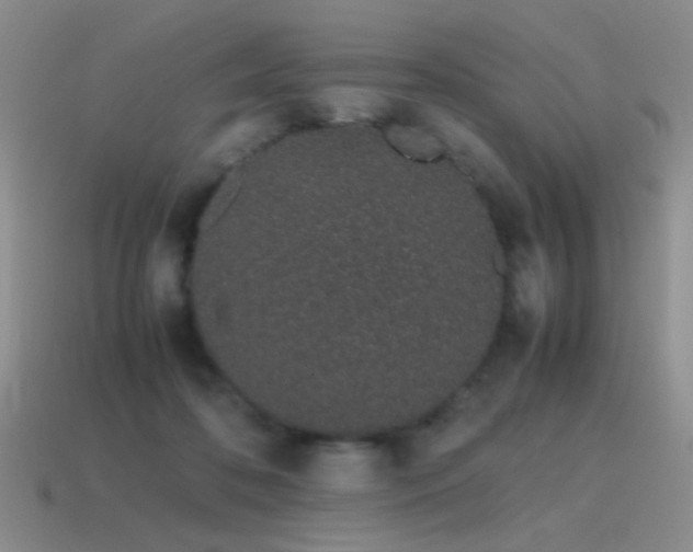 X0000115500316200911061332
