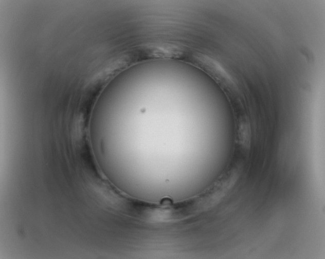 X0000115500318200911061332