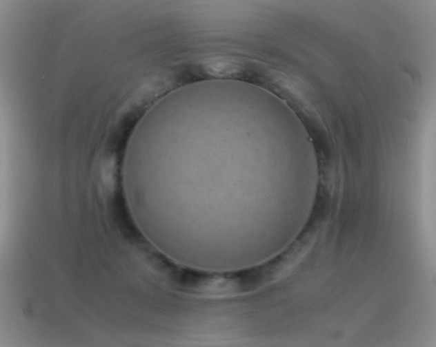 X0000115500319200911061332