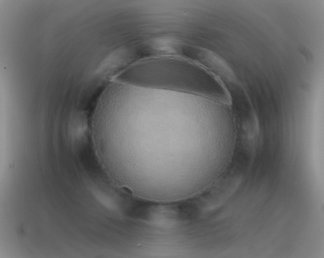 X0000115500320200911061332
