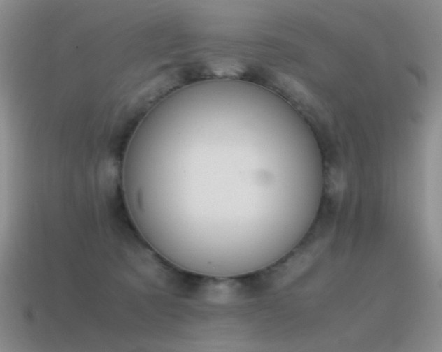 X0000115500321200911061332