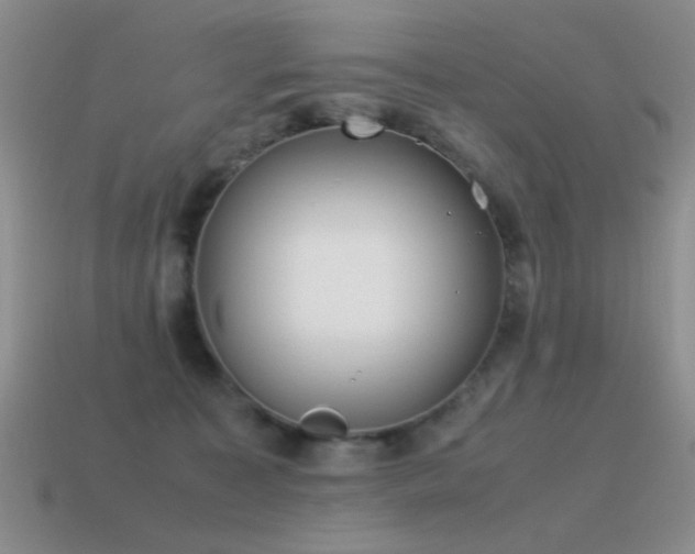 X0000115500323200911061332
