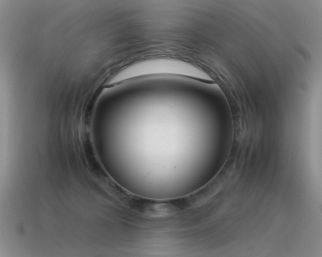 X0000115500324200911061332