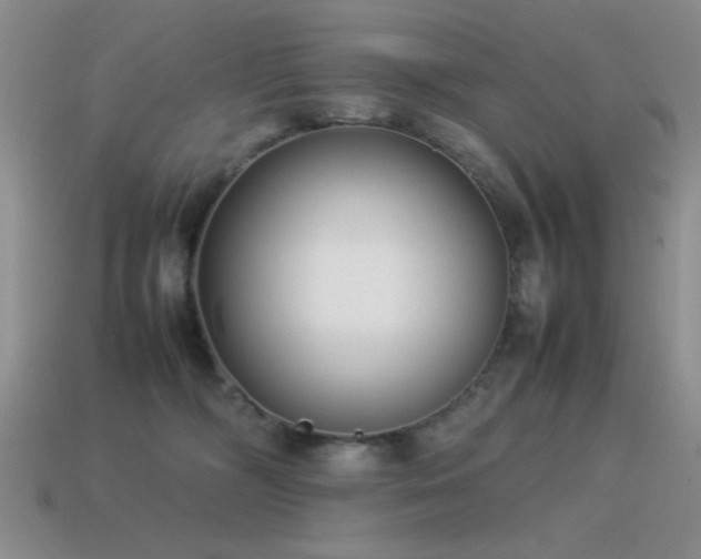 X0000115500326200911061332