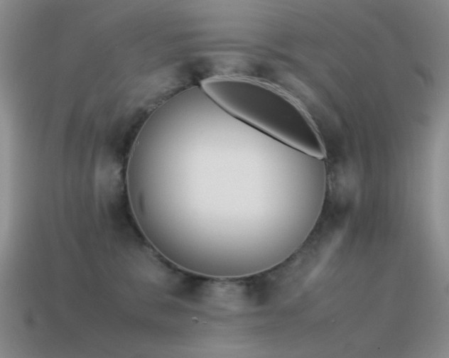 X0000115500327200911061332