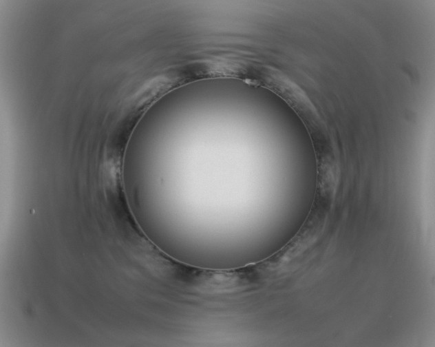 X0000115500329200911061332