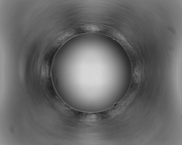 X0000115500330200911061332