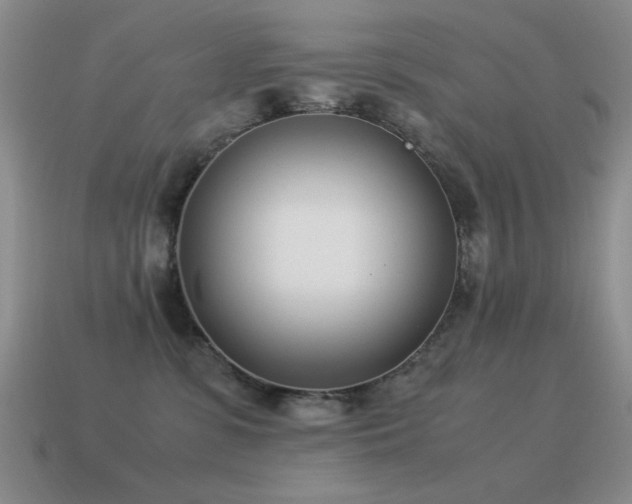 X0000115500331200911061332