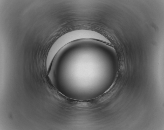 X0000115500332200911061332
