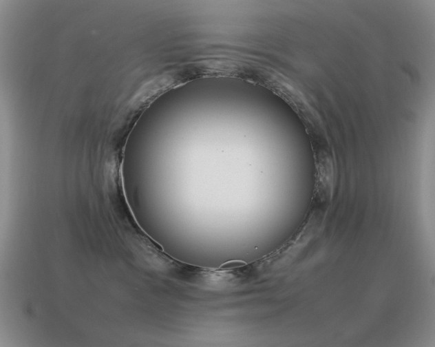 X0000115500333200911061332